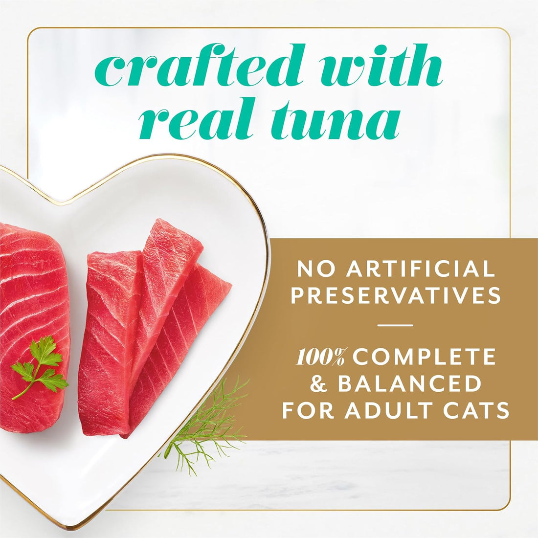 Fancy Feast Gems Pate Cat Food Mousse With Tuna and a Halo of Savory