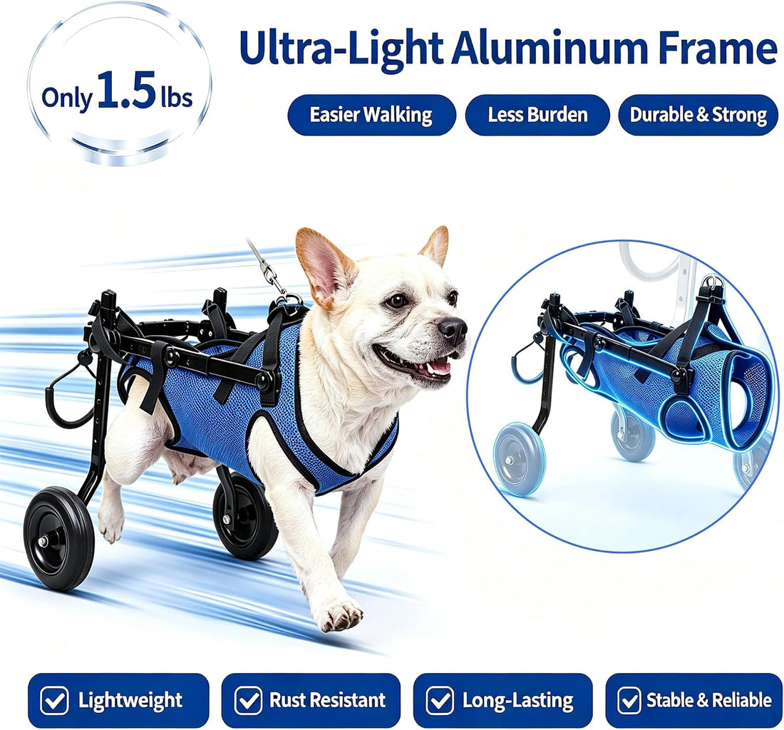 Dog Wheelchair for Back Legs, Adjustable Support for Small Dogs, M