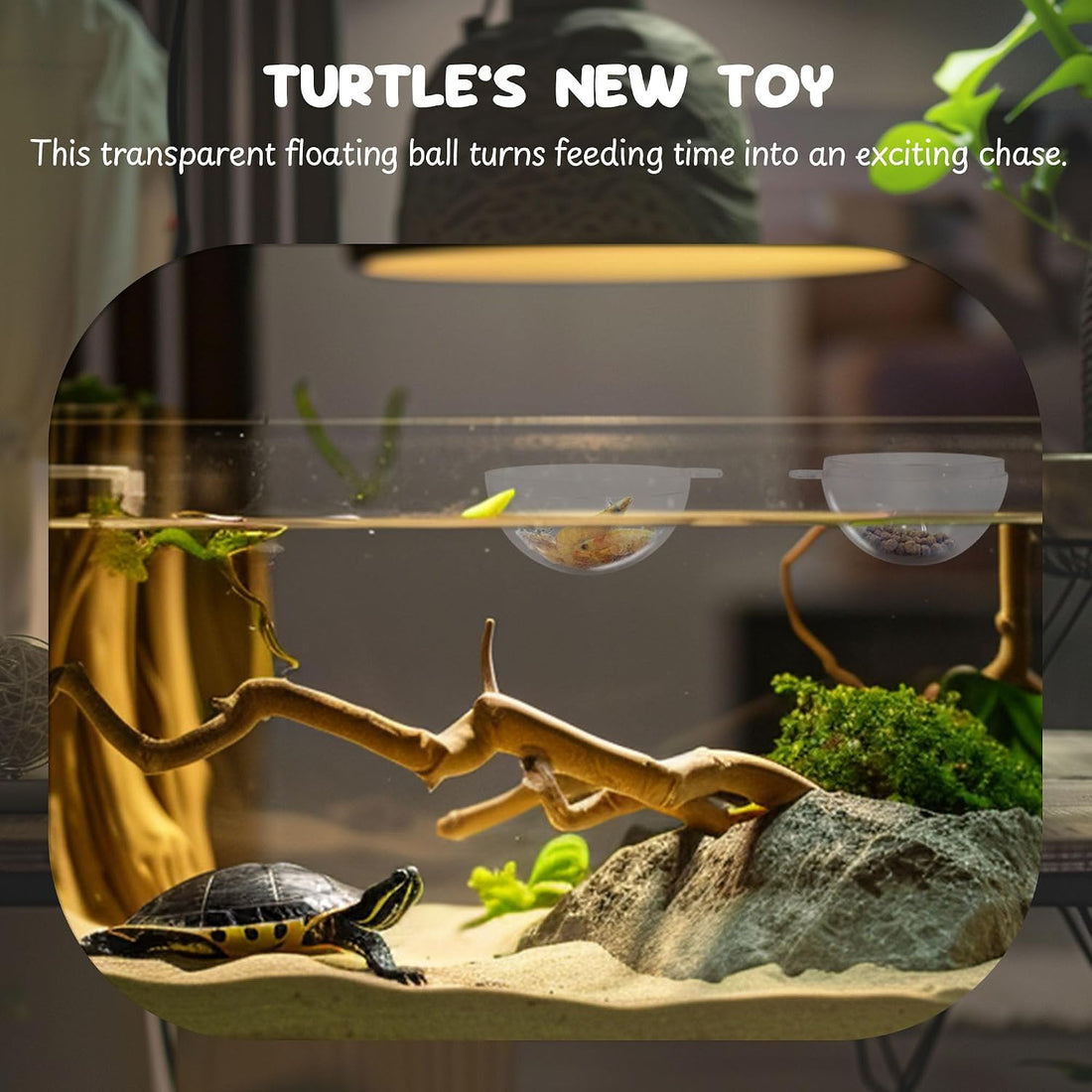 Turtle Toys for Aquatic Turtle Tank Accessories, Brush and 4 Balls