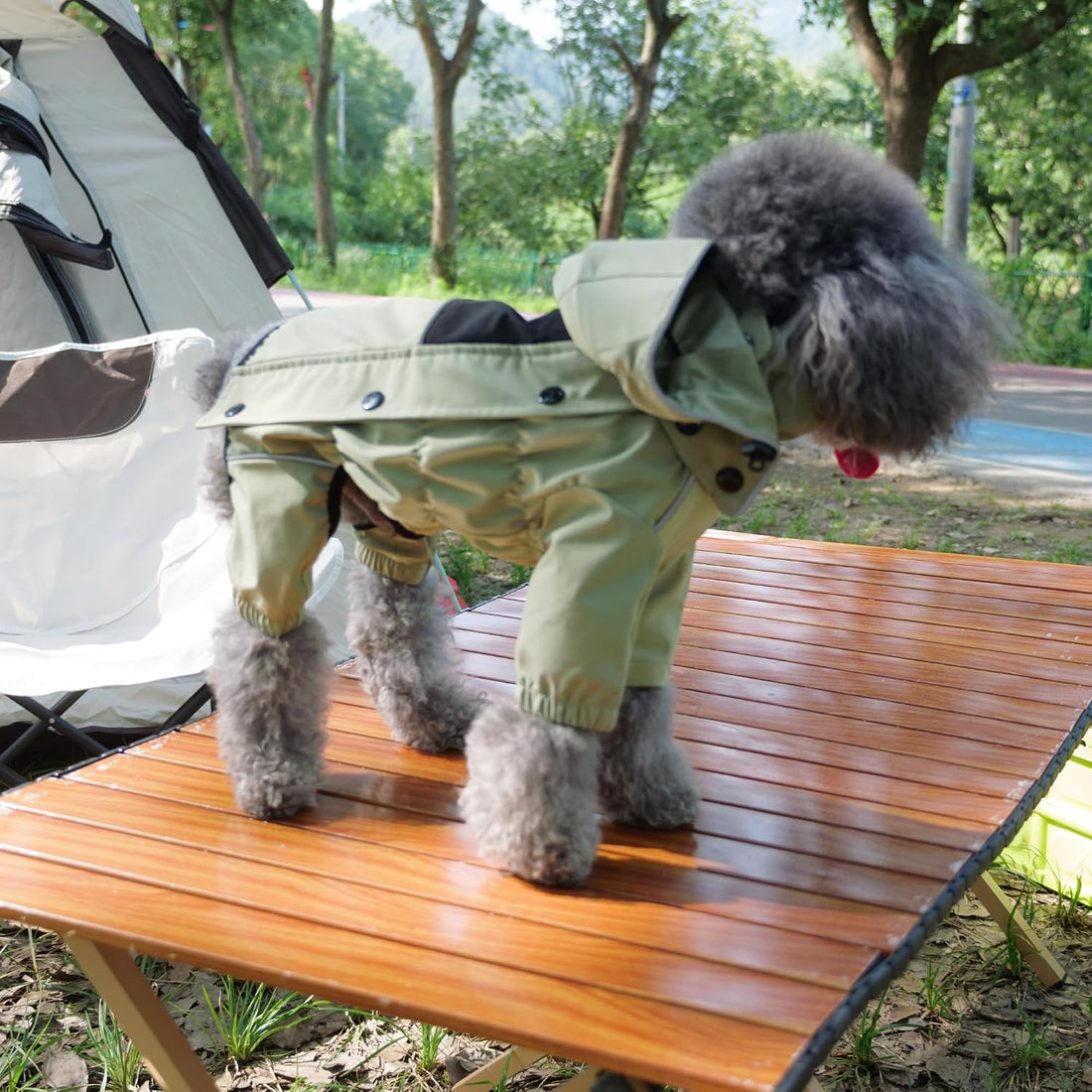 LOVELONGLONG Fleece-Lined Dog Raincoat with Removable Hood