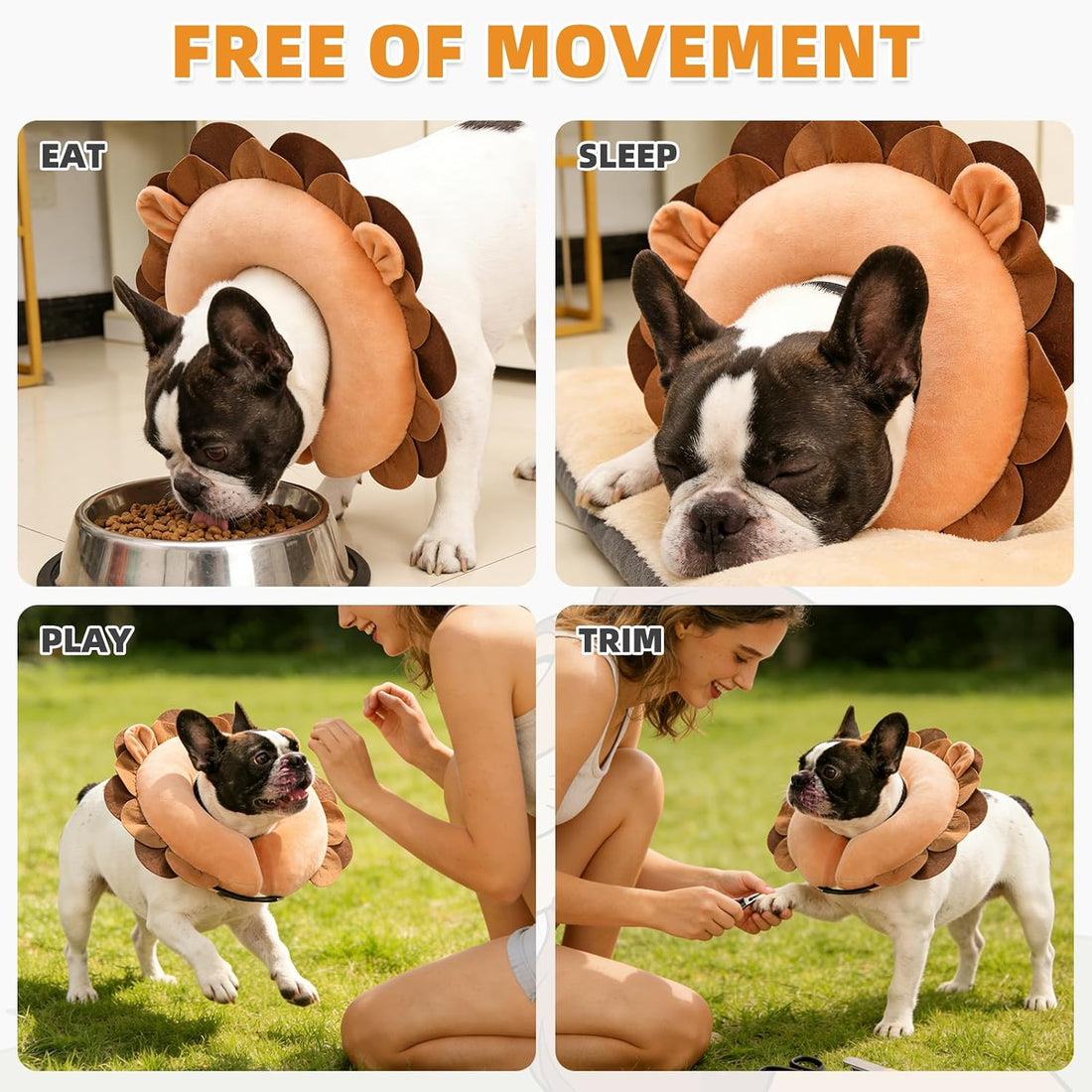 KOOLTAIL Inflatable Dog Cone Collar Alternative After Surgery, M+