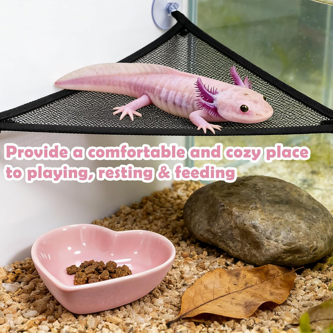 Axolotl Hammock for Aquarium with Feeding Bowl