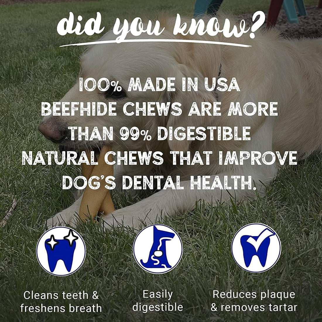 Pet Factory 100% Made in USA Beefhide 6" Knotted Bones Dog Chew Treats