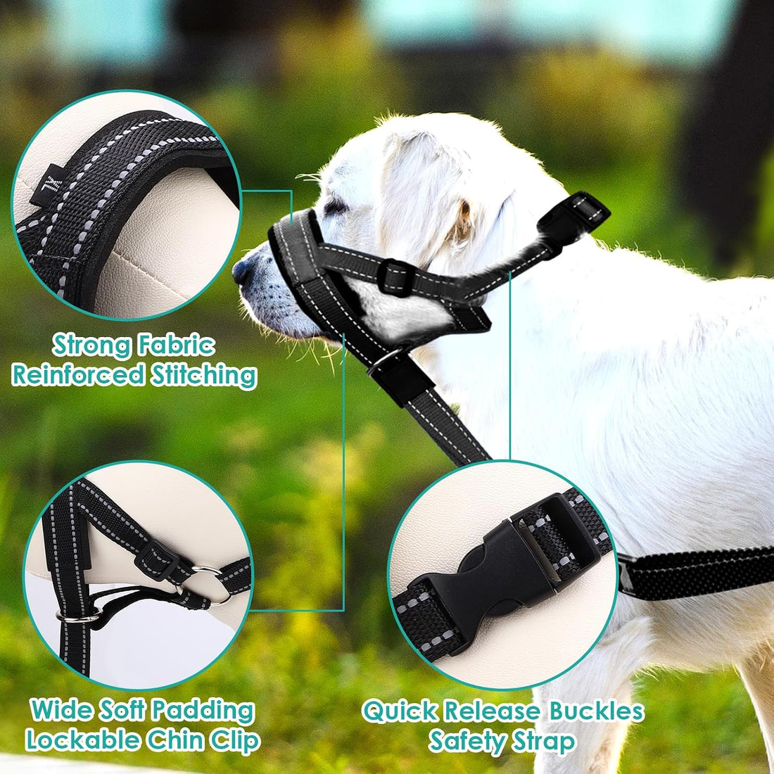 Dog Headcollar, Anti-Pull Dog Collar