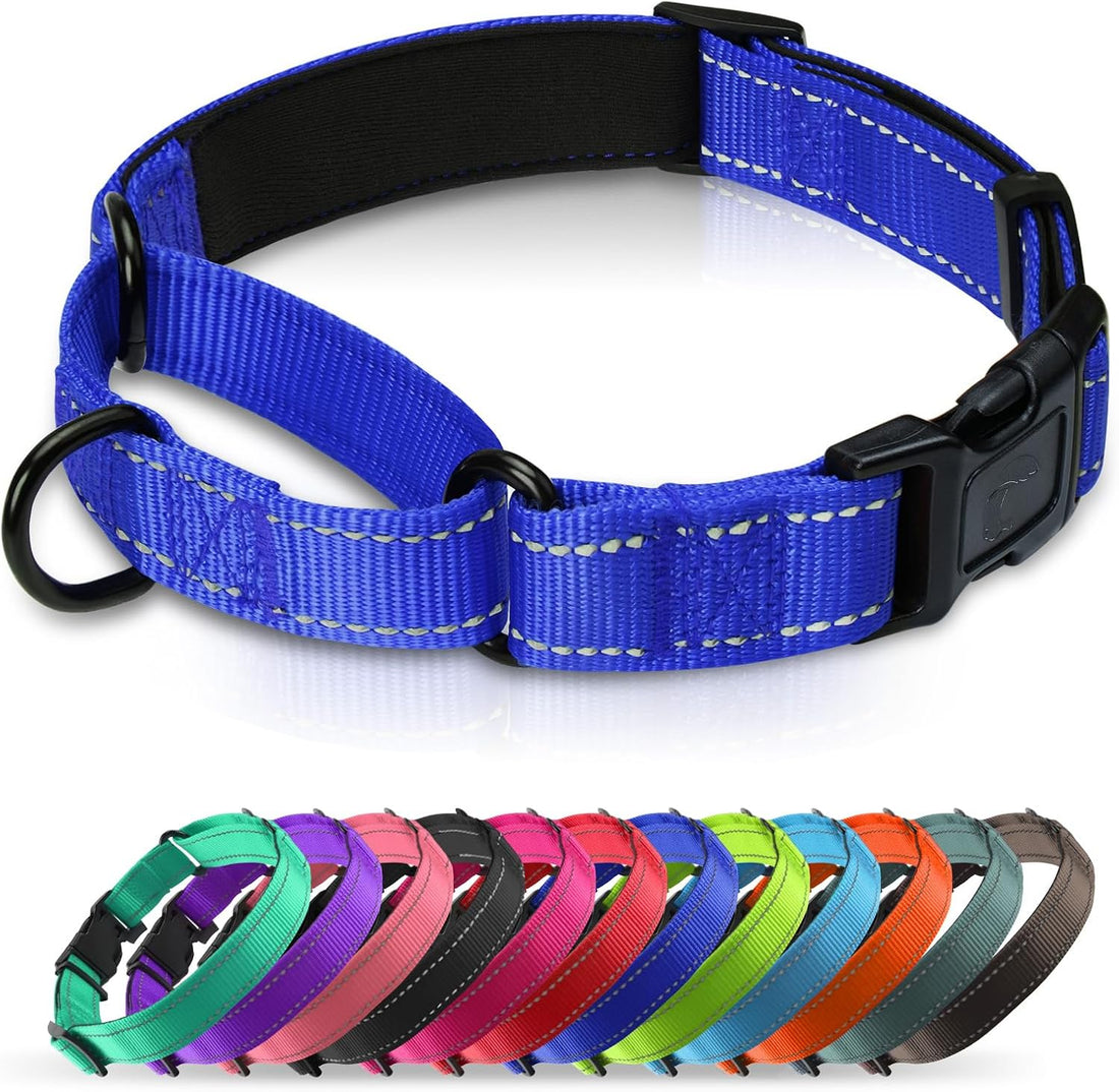 Padded Martingale Collar for Medium Dogs, Quick Release Buckle