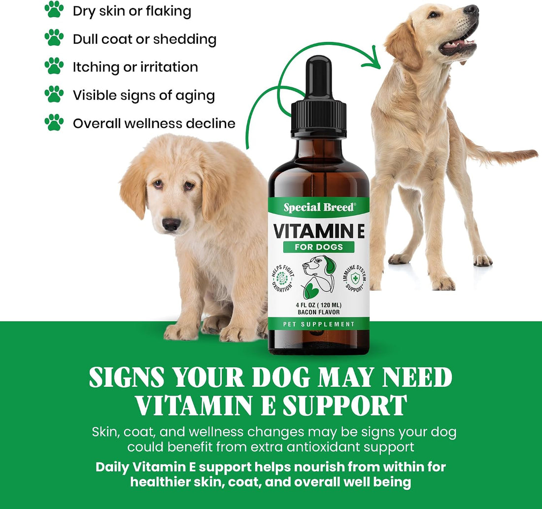Vitamin E for Dogs Liquid 250 IU