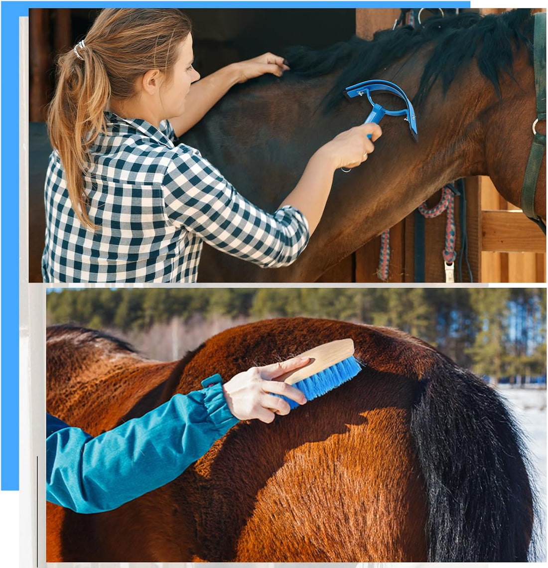 Abbylike 12 Pieces Horse Grooming Kit Equine Care Brushes,Blue