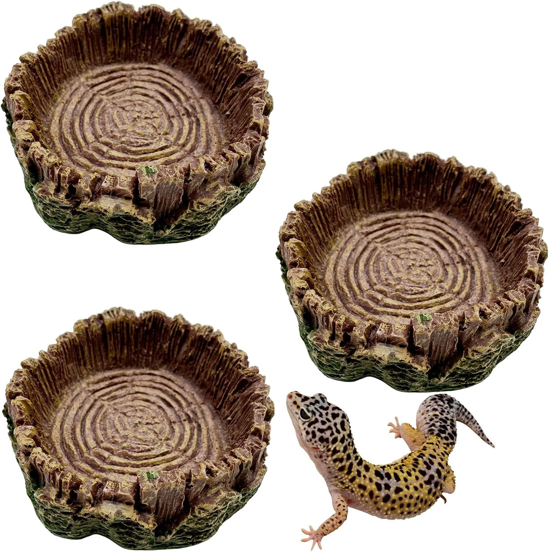 2 Pack Shallow Reptile Food Bowls