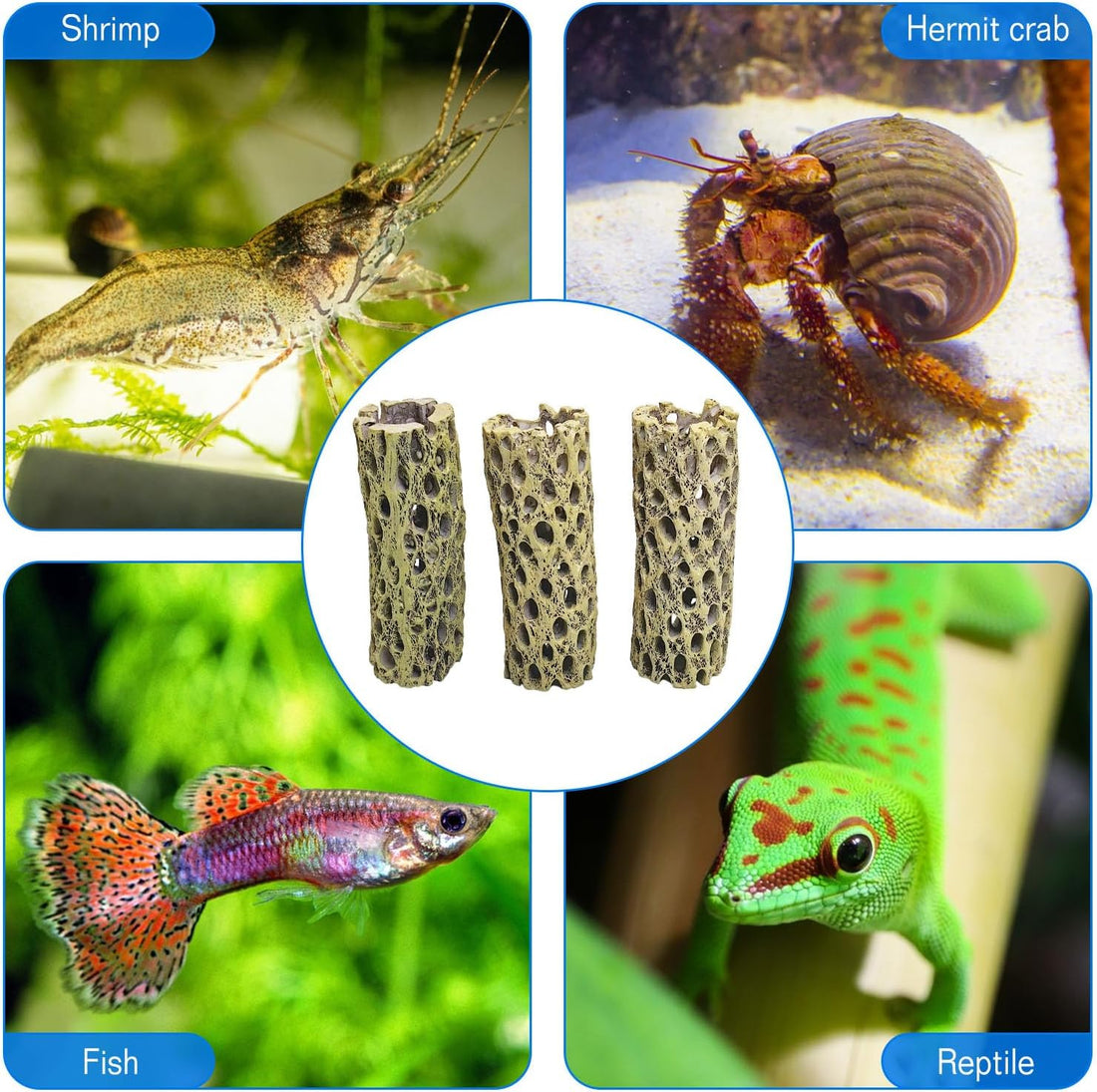 kathson 6" Resin Cholla Wood, Aquarium Shrimp Hideout (3PCS)