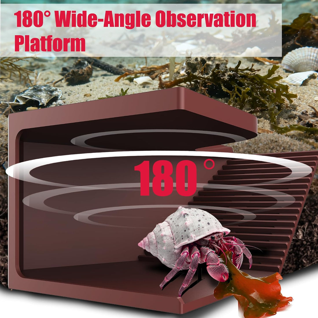 Hermit Crab Accessories | Hermit Crab Climbing Toys with Climbing Wall