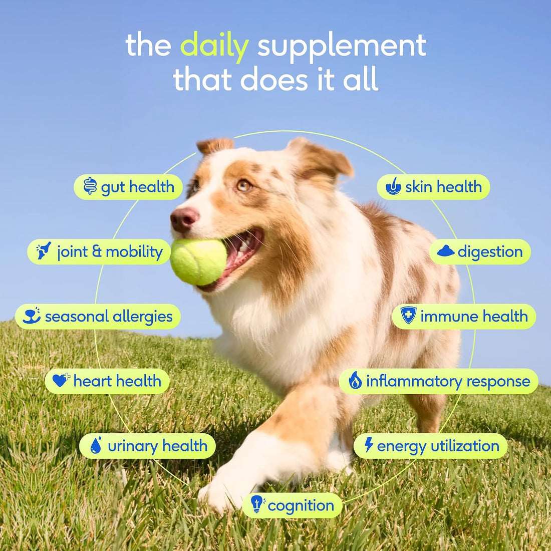 Native Pet The Daily Dog Vitamins & Supplements