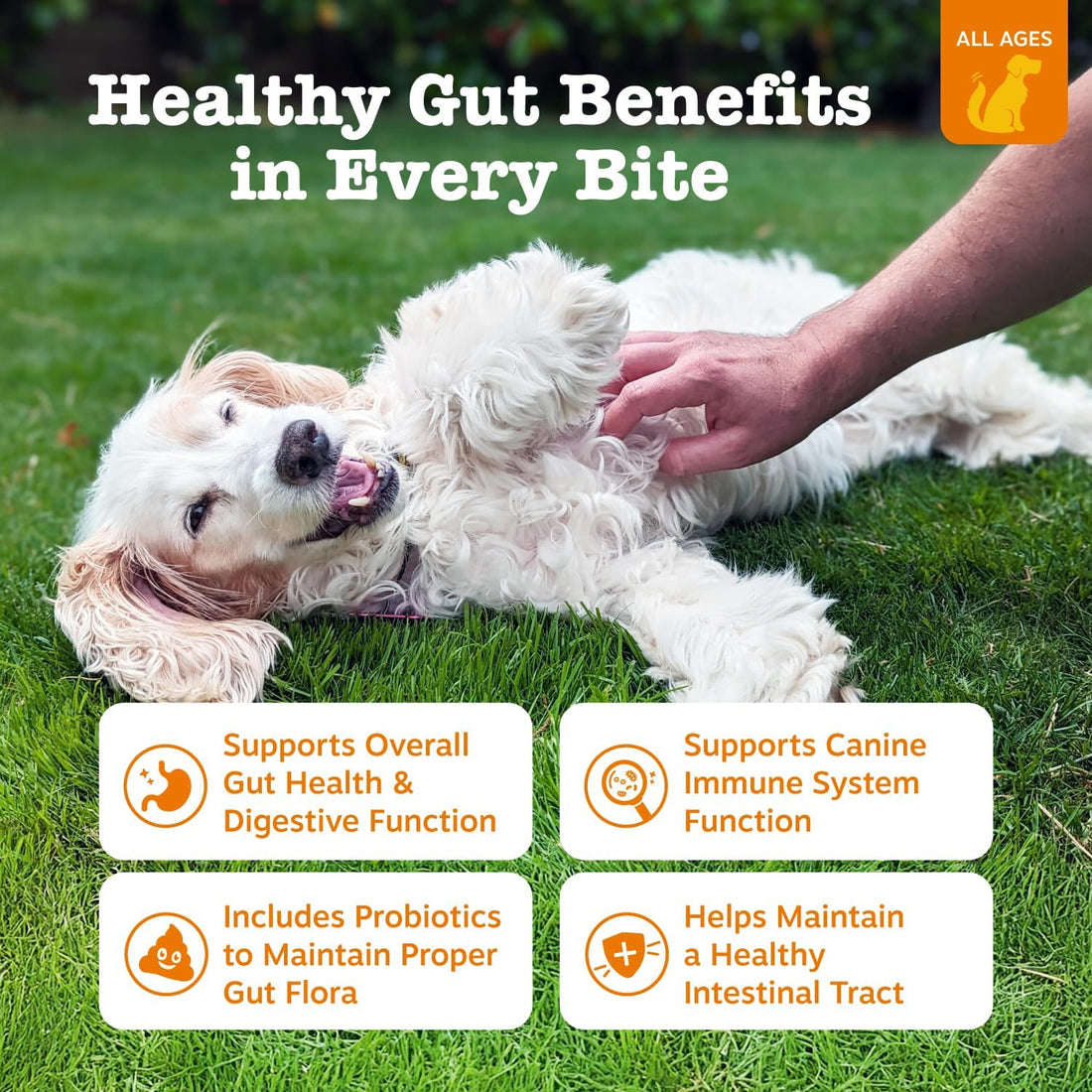 Zesty Paws Probiotics for Dogs - Digestive Enzymes for Gut Flora