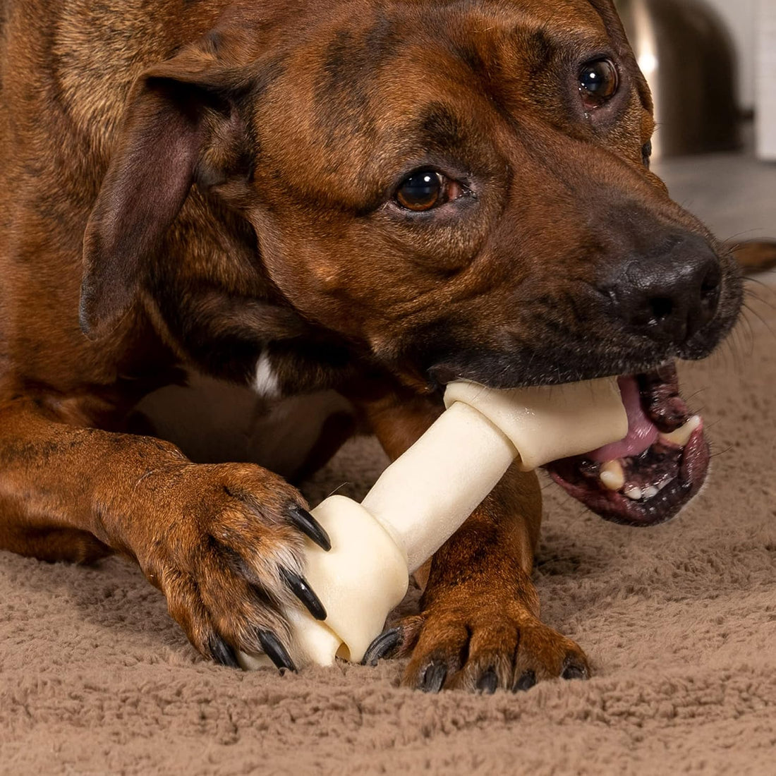 Pet Factory 100% Made in USA Beefhide 6" Knotted Bones Dog Chew Treats