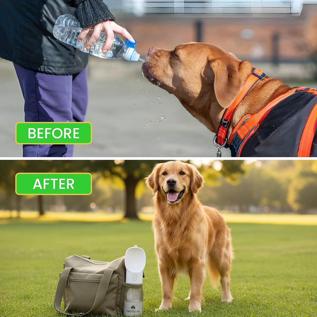 3-in-1 Portable Dog Water Bottle & Food Container,Leak Proof Pet