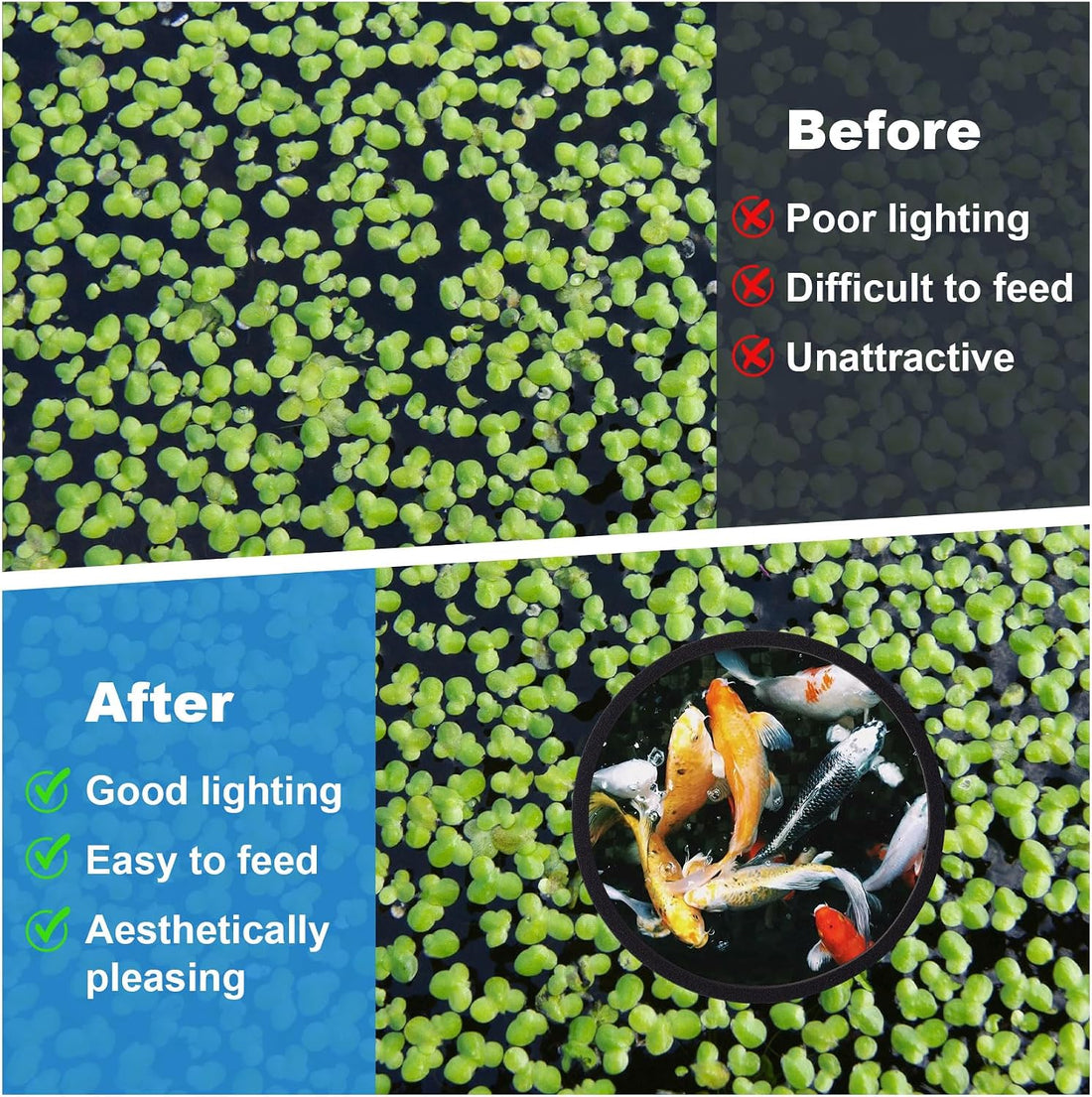 PAGOW 10pcs Fish Feeding Rings Set