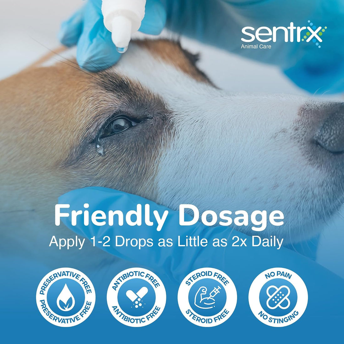 Sentrx - Eye Lube Pro Eye Drops for Dogs, Cats, and Horses