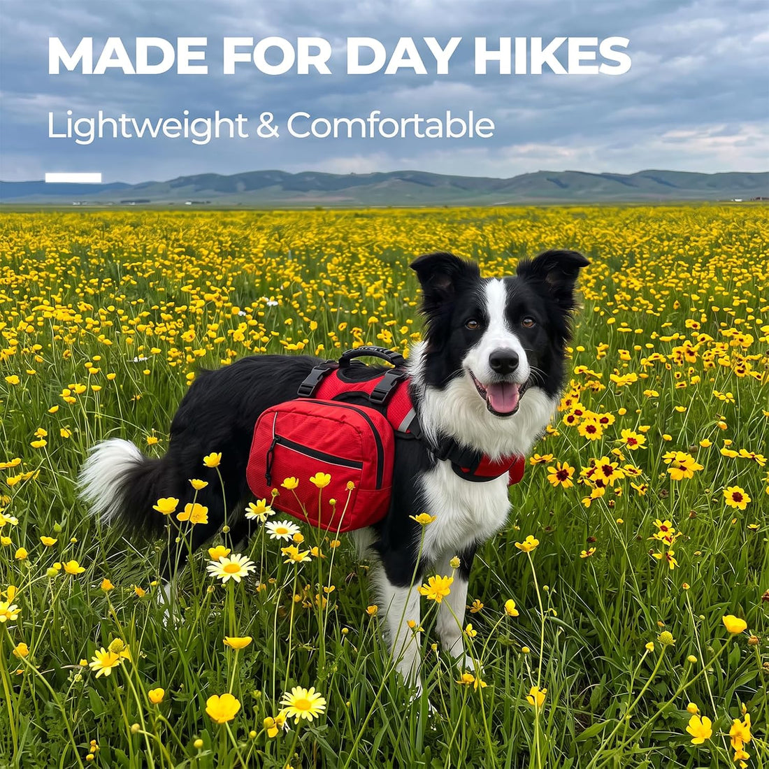 2-in-1 Detachable Dog Backpack Harness for Day Hiking (Medium)
