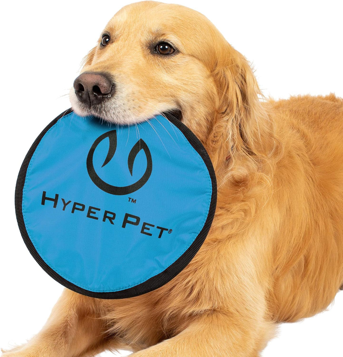 Hyper Pet Flippy Flopper 9" Flying Disc Soft Dog Toy