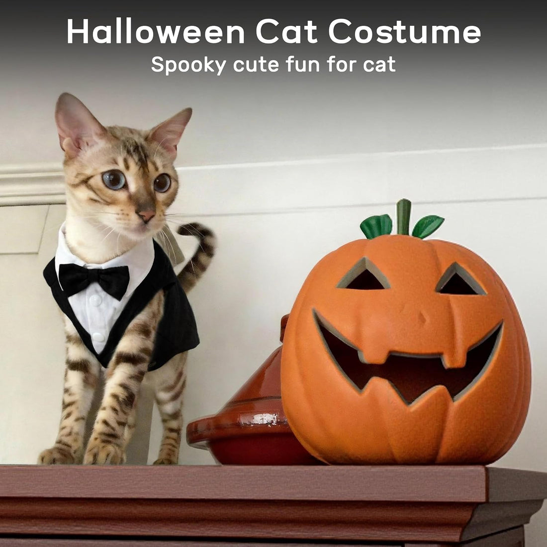 PUMYPOREITY Cat Tuxedo Suit Formal Wear with Bow Tie