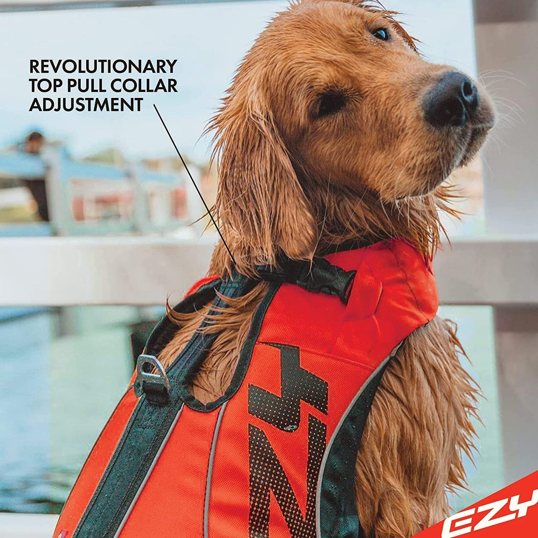 EzyDog DFD X2 Dog Life Jacket