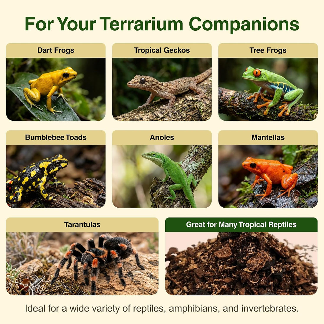 Josh's Frogs ABG Mix Bioactive Terrarium Substrate (4 Quart/1 Gallon)