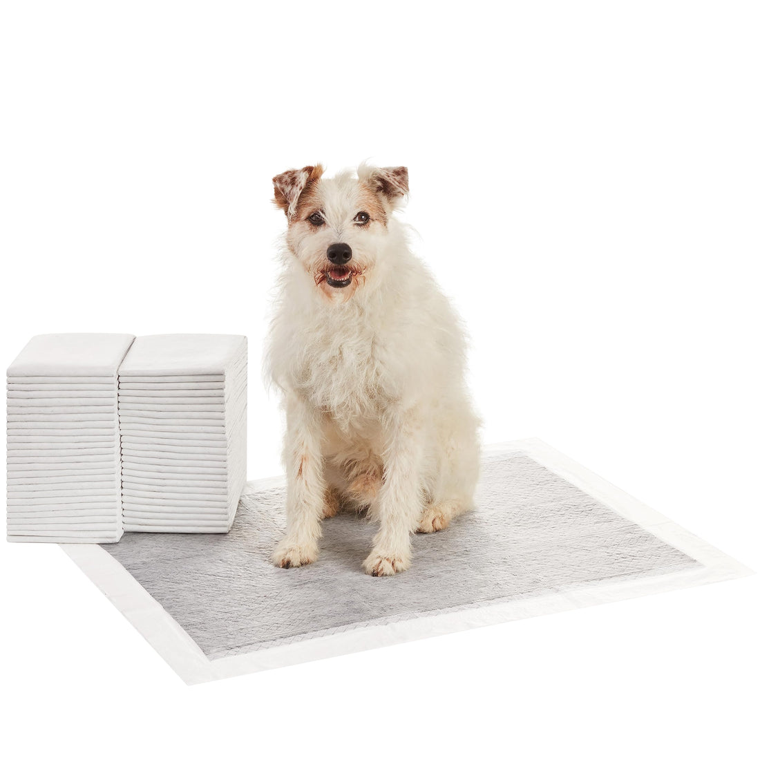 Carbon Odor Control Dog and Puppy Pee Pads