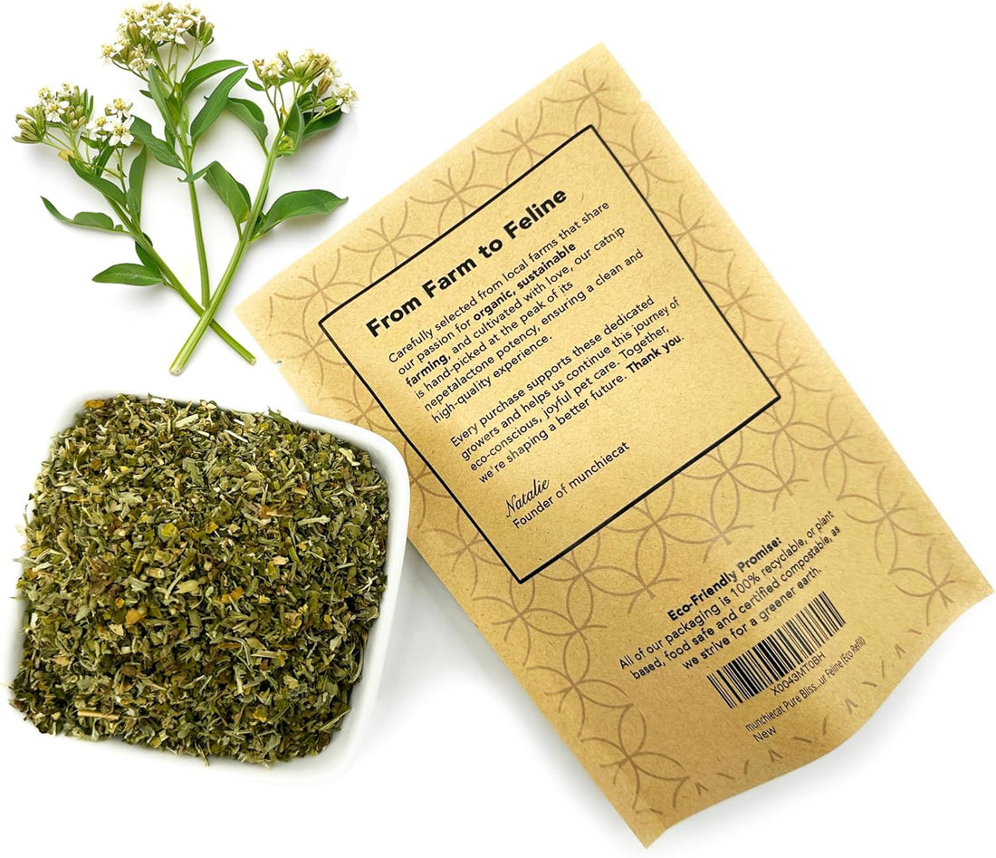 munchiecat Organic Catnip Refill