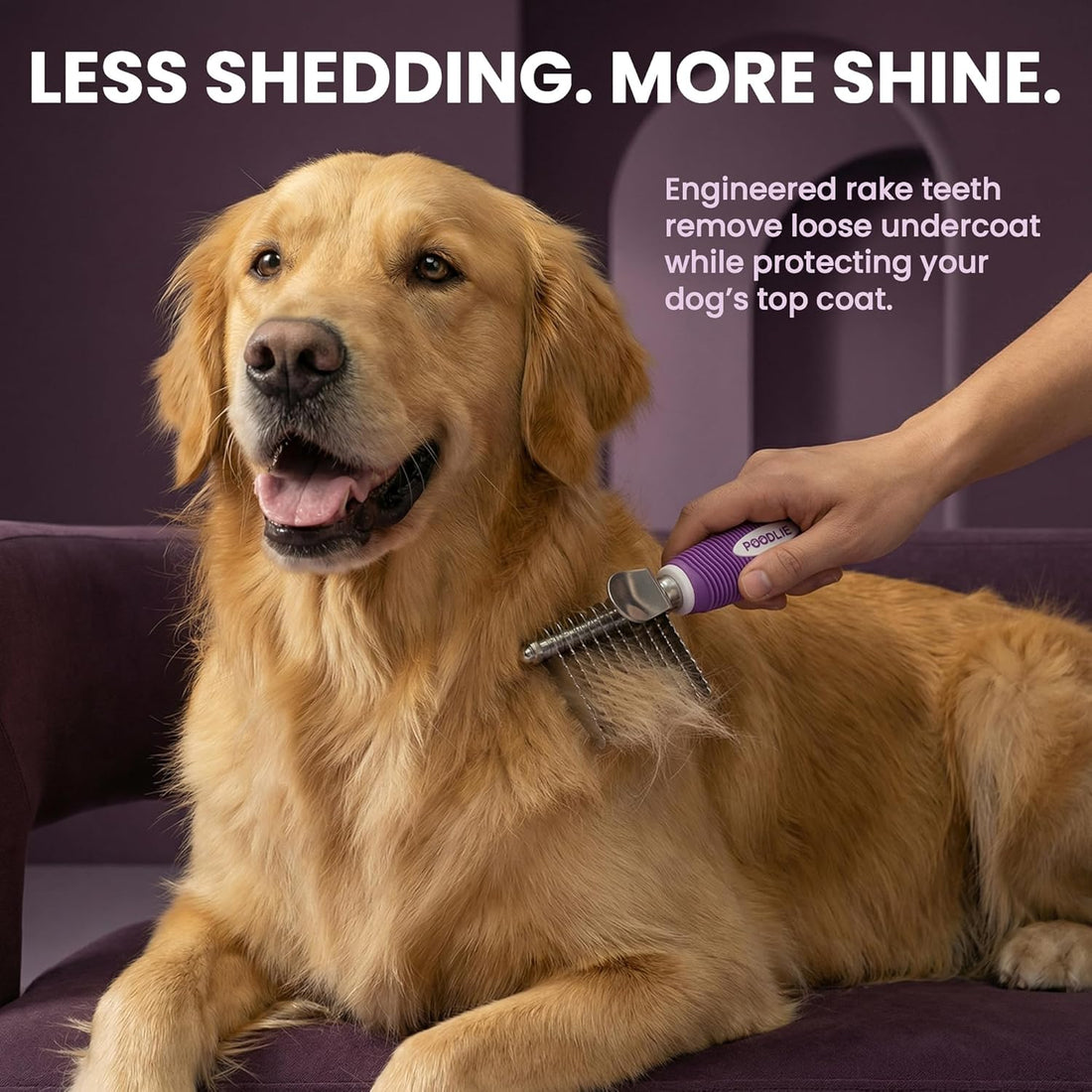 Poodle Pet Dematting & Detangling Comb