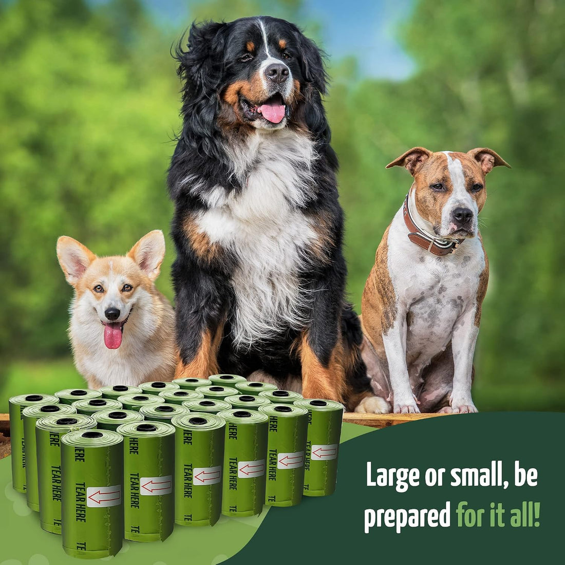 Reli. Biodegradable Dog Poop Bags w/Holder