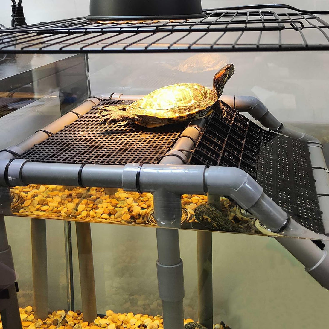Extra Large Turtle Basking Platform with Artificial Grass