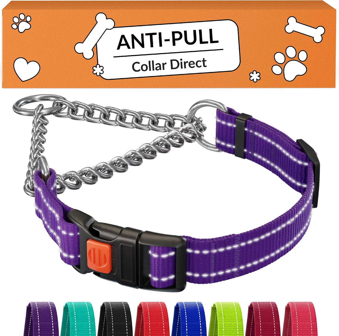 CollarDirect Martingale, Steel Chain, Reflective (L, 17-22", Pink)