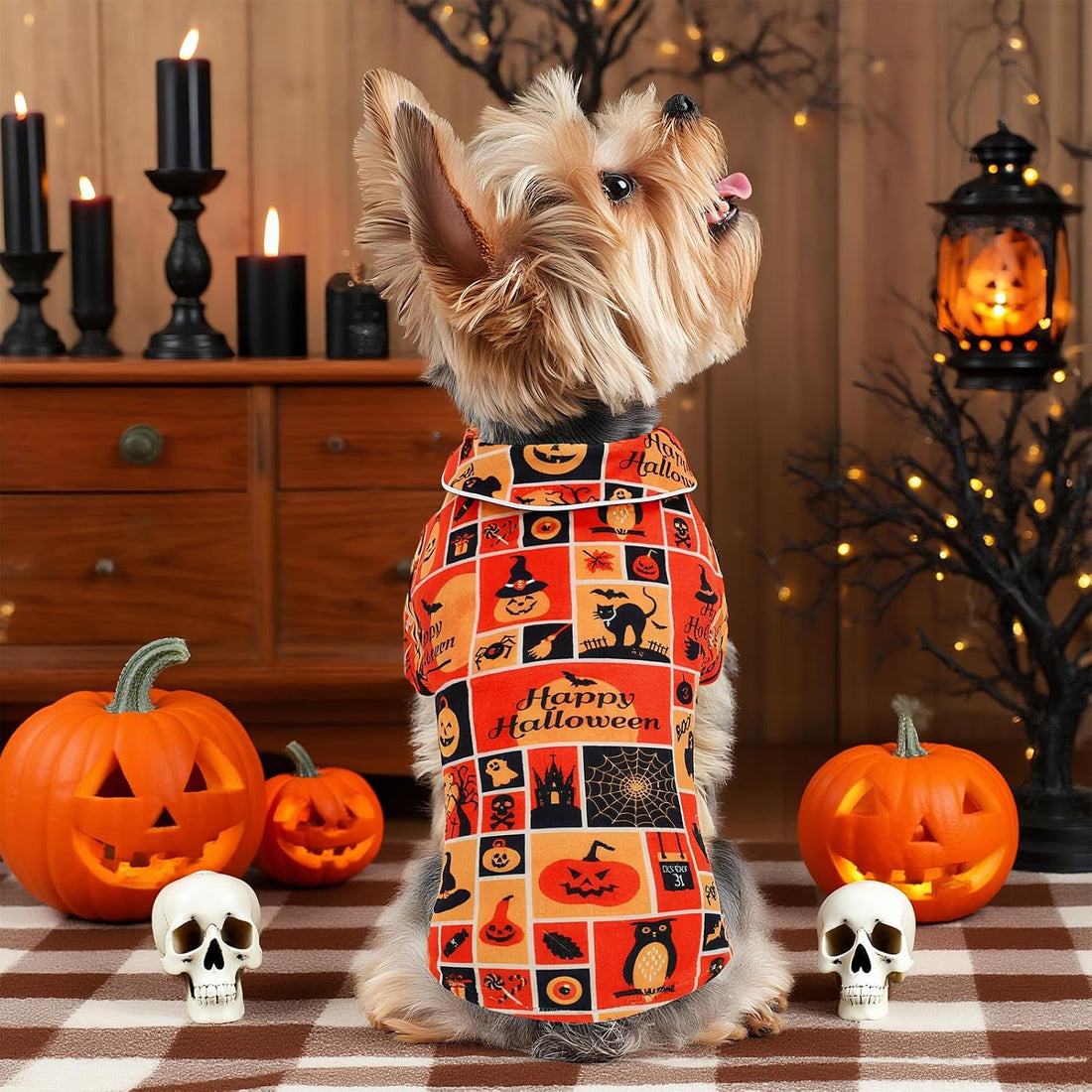 CuteBone Two-Leg Velvet Pet Halloween Pajamas Girl Dog Clothes - Soft