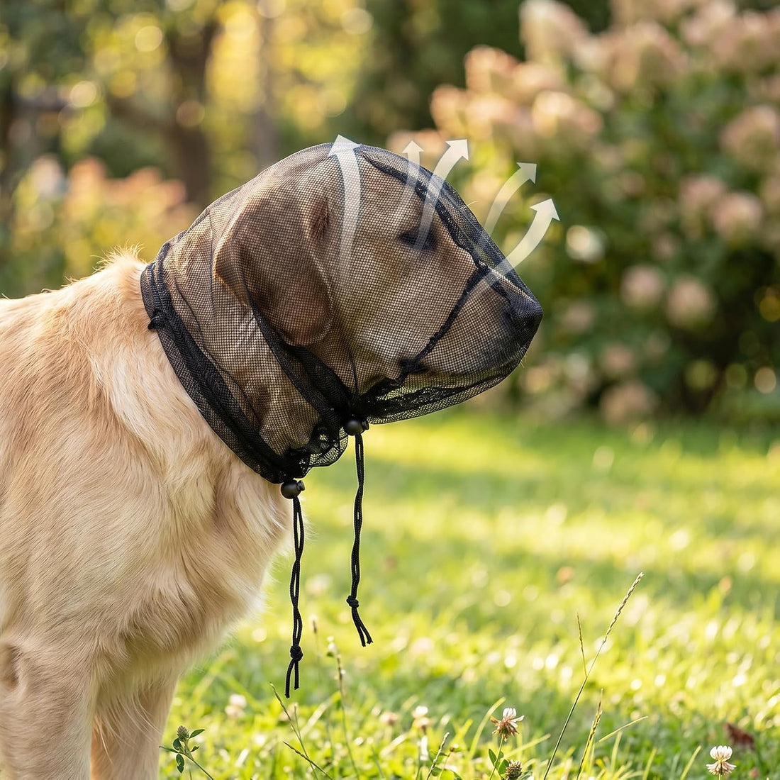 Foxtail Mask for Dogs Head Protector Foxtail Protection for Dogs