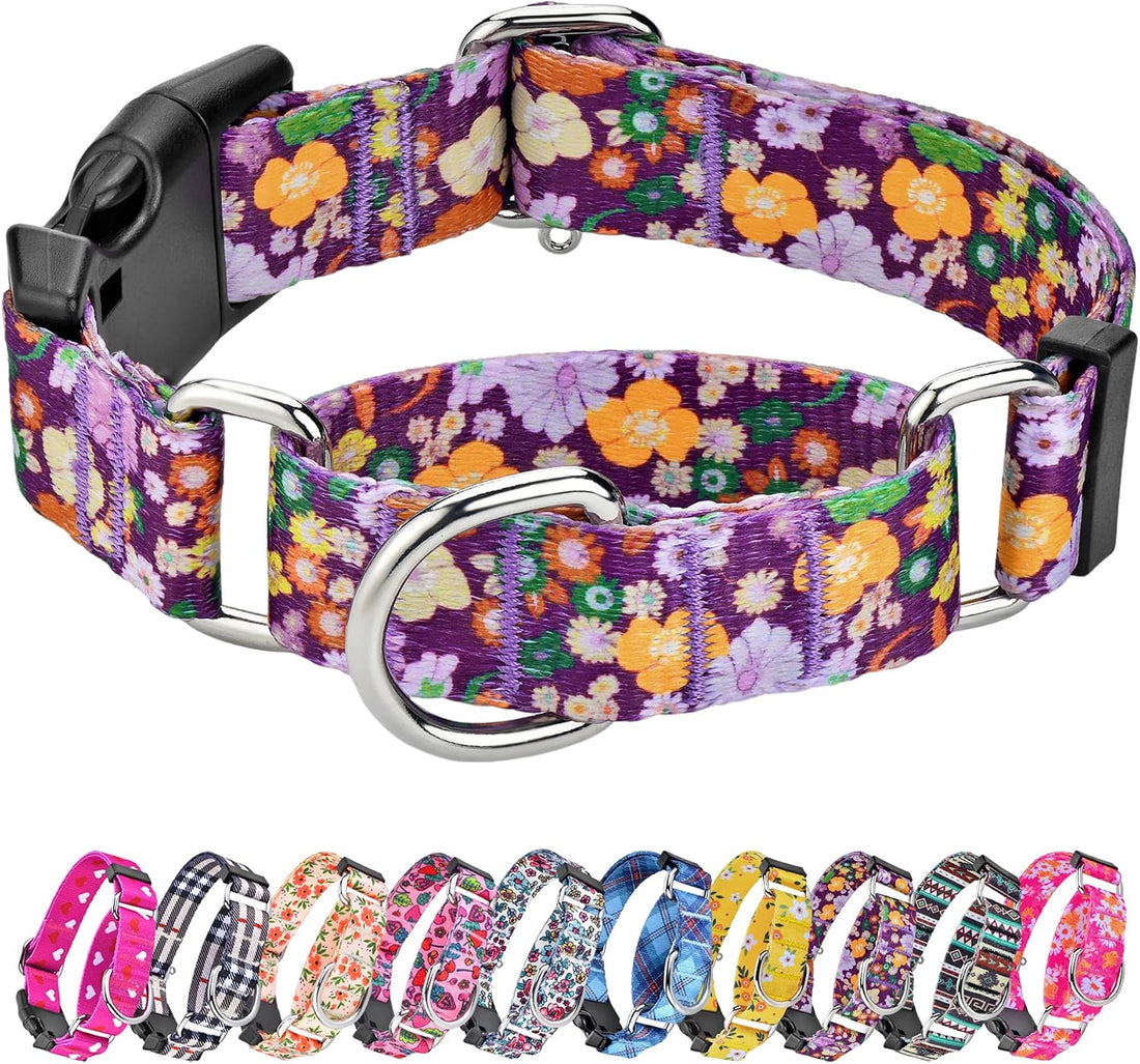 Hikiko Martingale Collar for Dogs with Special Pattern,Adjustable,M