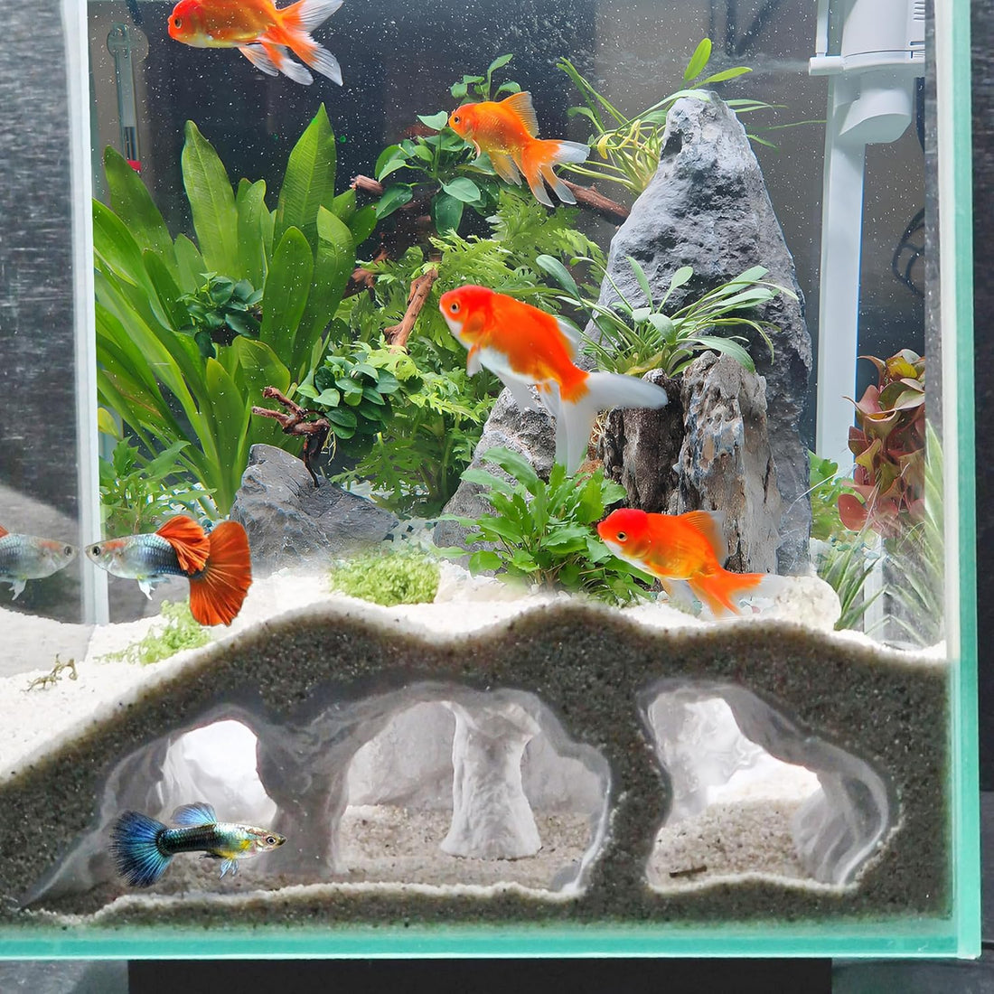 LIYAOLI Aquarium Ornaments Cave Tunnel with Viewing Ports