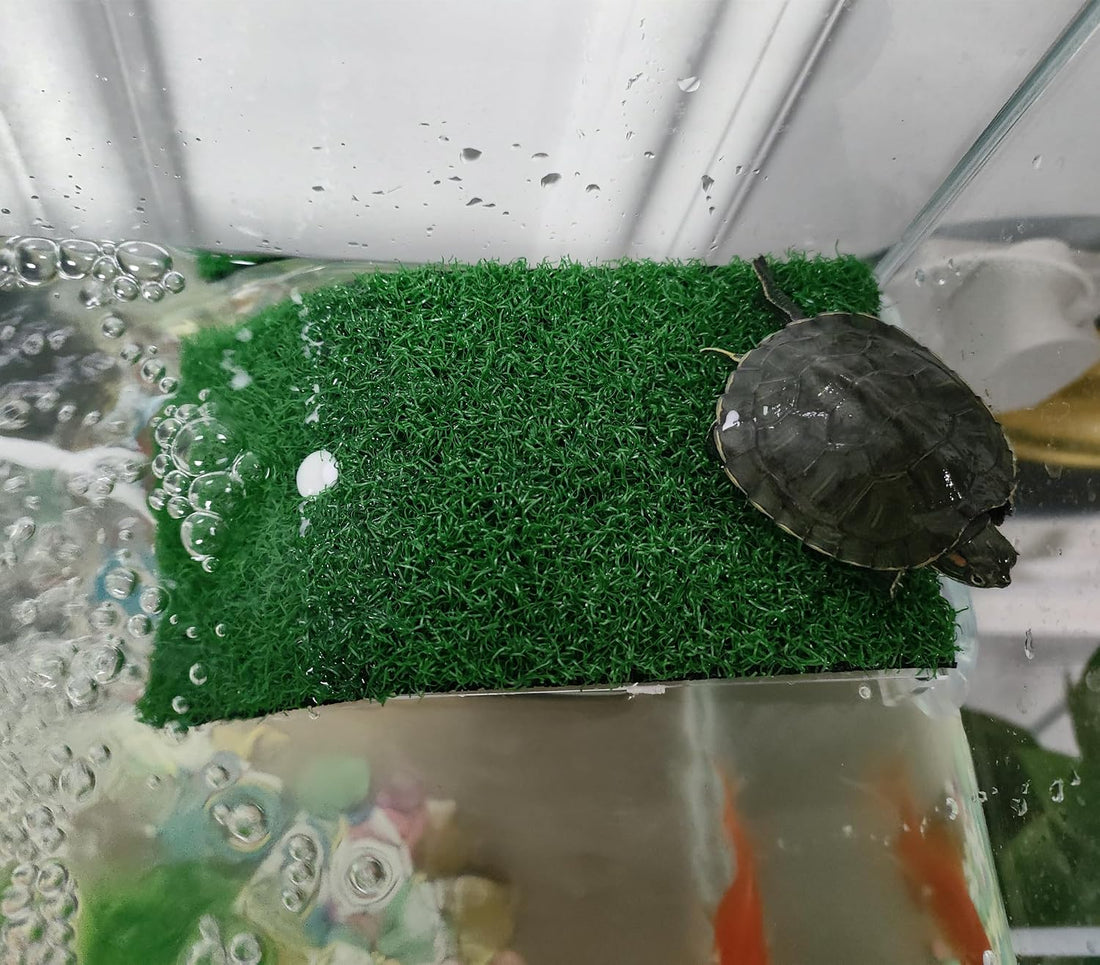 alfyng Small Turtle Resting Basking Platform