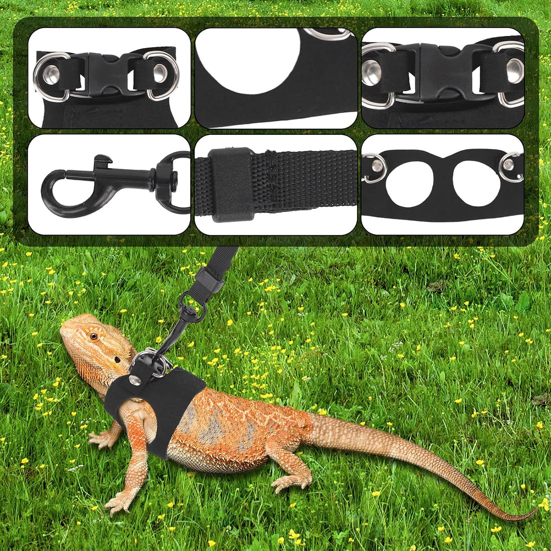 Bearded Dragon Leash and Harness Set