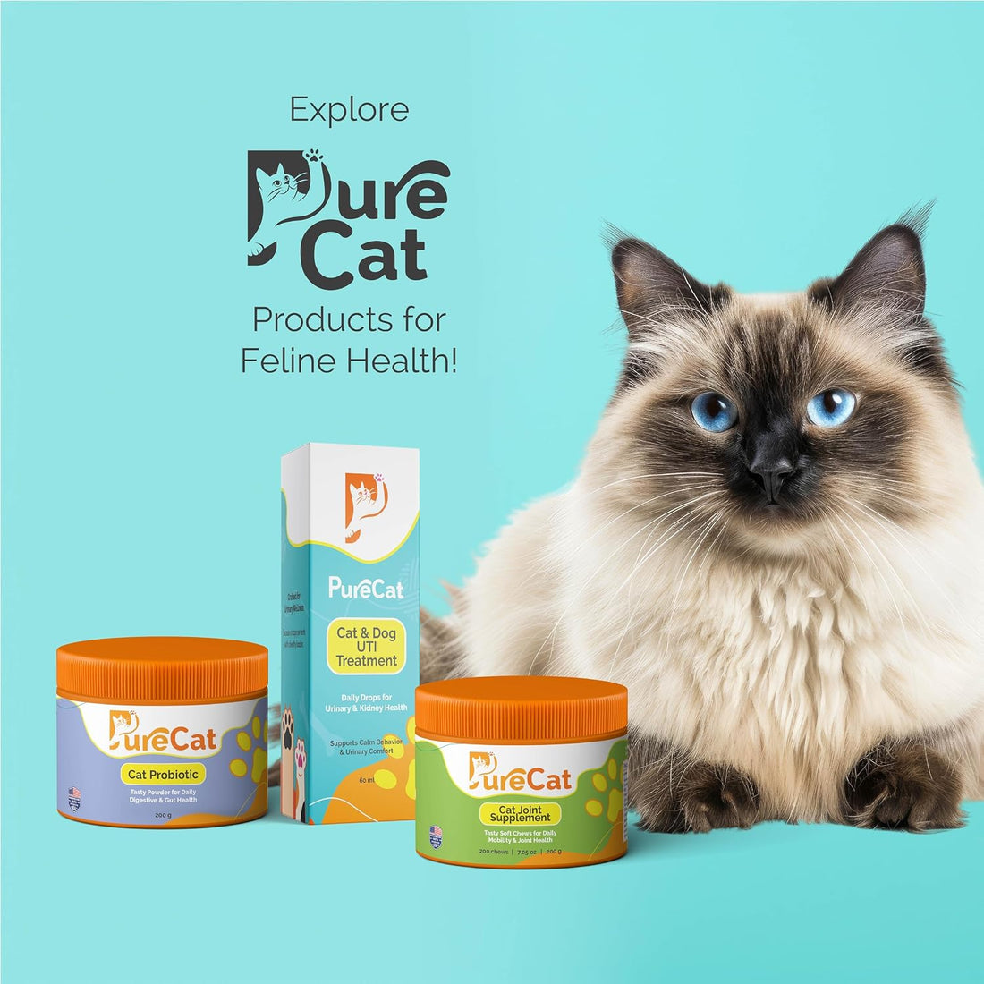 PureCat Digestive Health & Immune Support Supplement Probiotic Powder