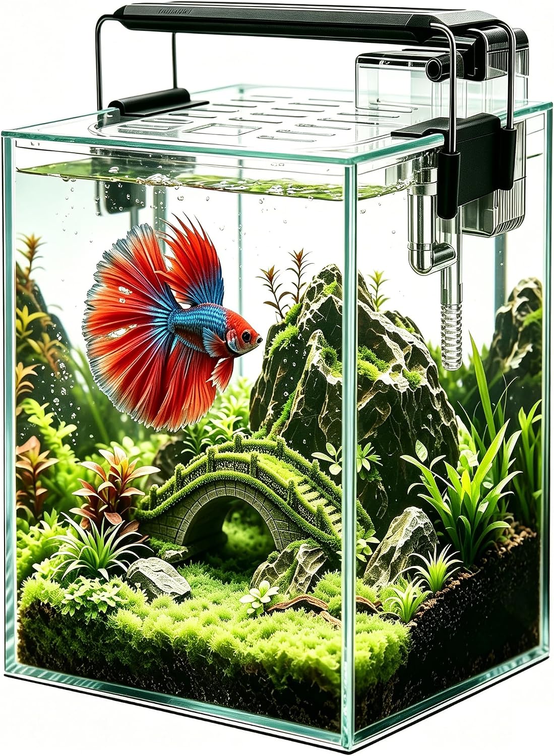 Ultra White Glass Aquarium Starter Kits 1.5 Gallon Small Fish Tank