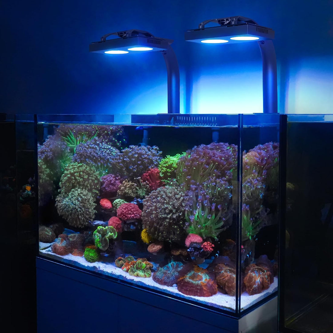 NICREW HyperReef 100 Gen 2 LED Reef Aquarium Light