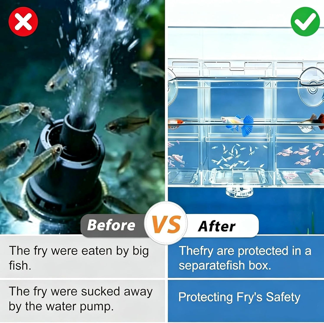 Fish Breeding Box,Breeding Box for Fish Tank,Betta Breeder Box