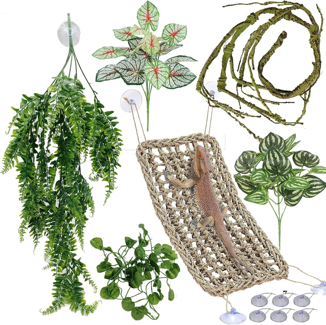 Reptile Plants for Bearded Dragon Tank Accessories