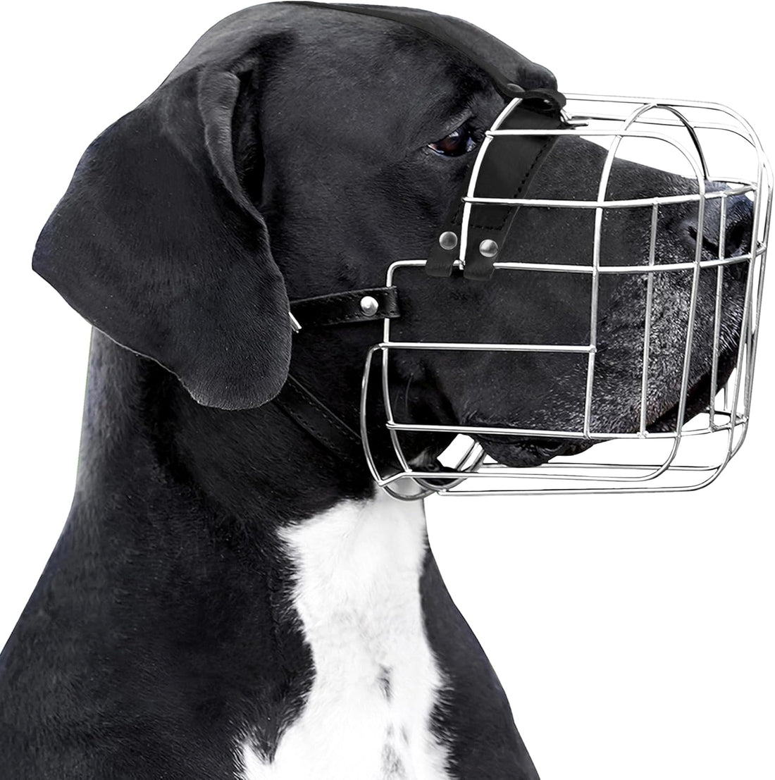 BRONZEDOG Stainless Steel Wire Basket Dog Muzzle for Rottweiler