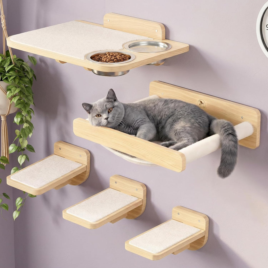 Cat Wall Shelves - Wall Mounted Cat Shelves with Feeding Station
