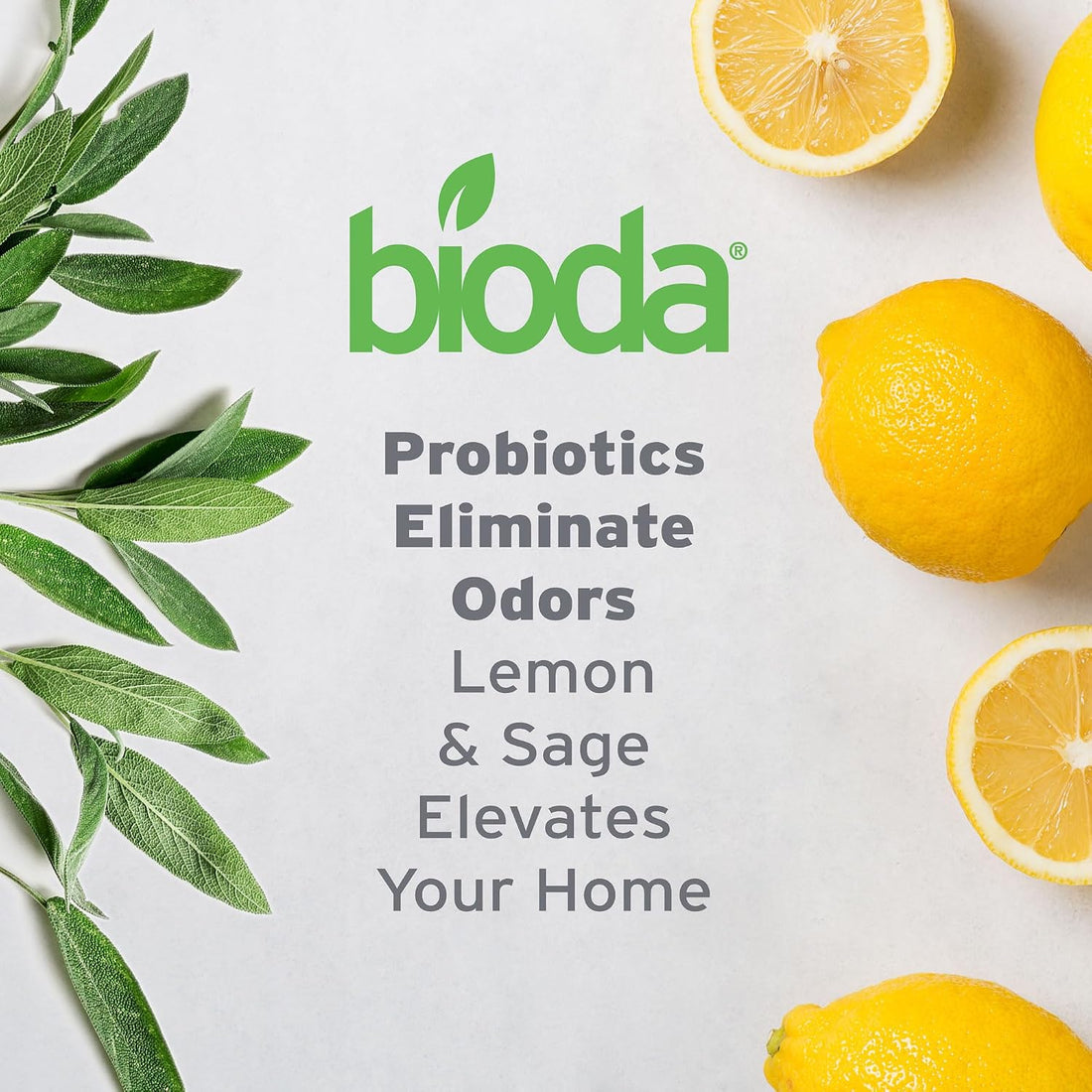 Bioda Commercial Strength Enzymatic Stain & Odor Eliminator for Pets