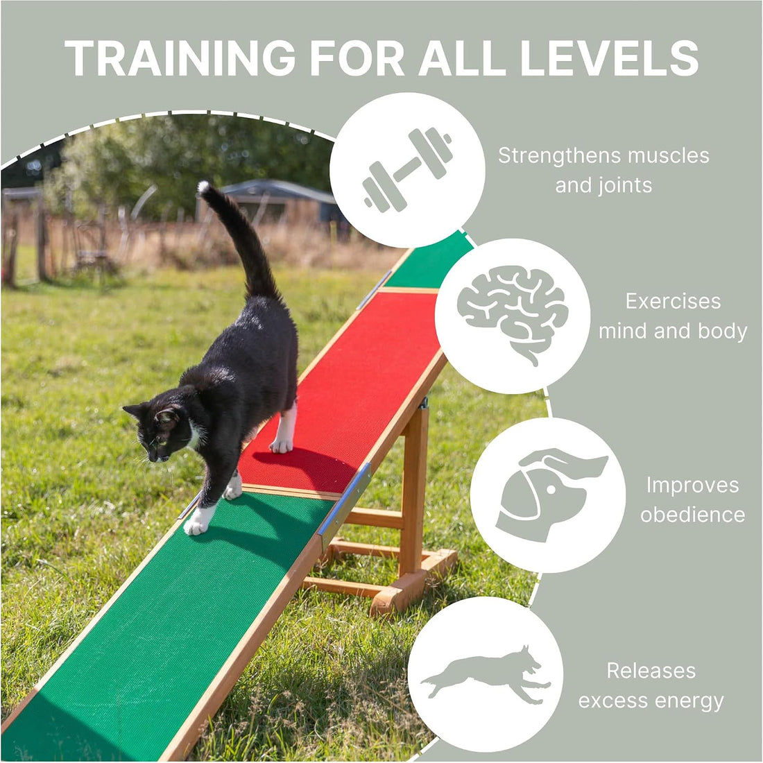 TRIXIE Agility Dog Seesaw with Contact Zones