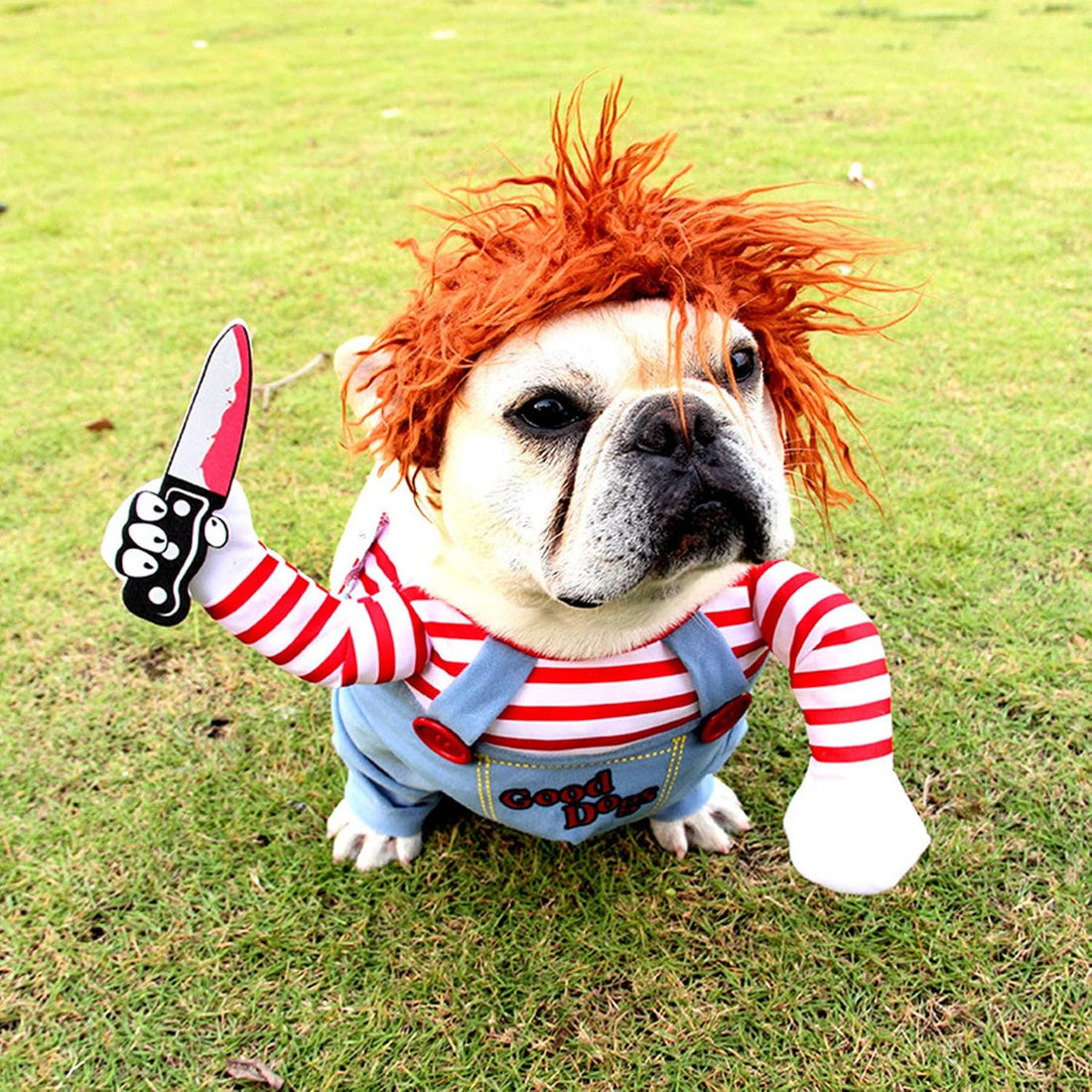 GOYOSWA Dog Halloween Costumes
