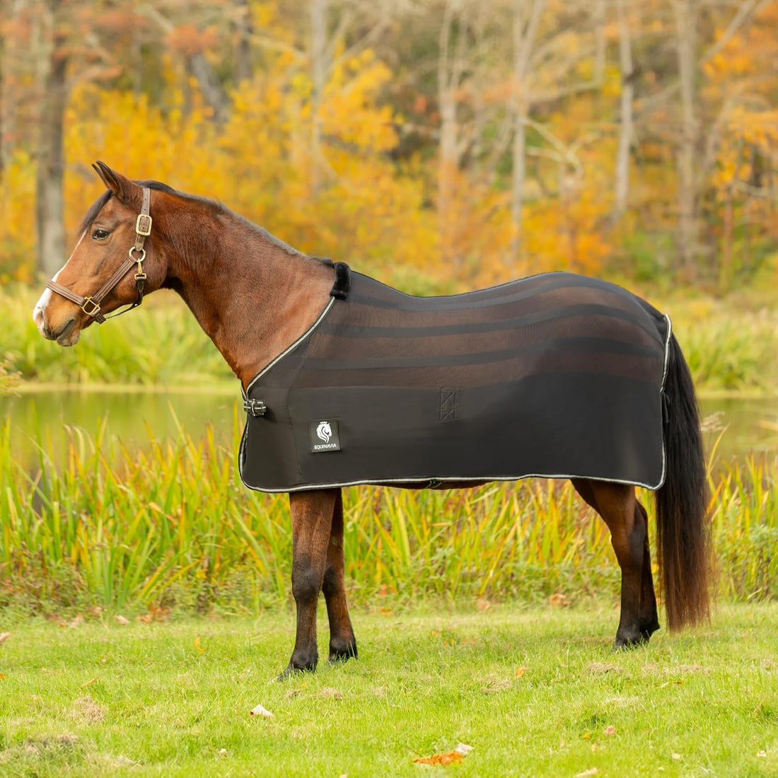 Equinavia Sefyr Breathable Lightweight Cooling Scrim Sheet - Black - L