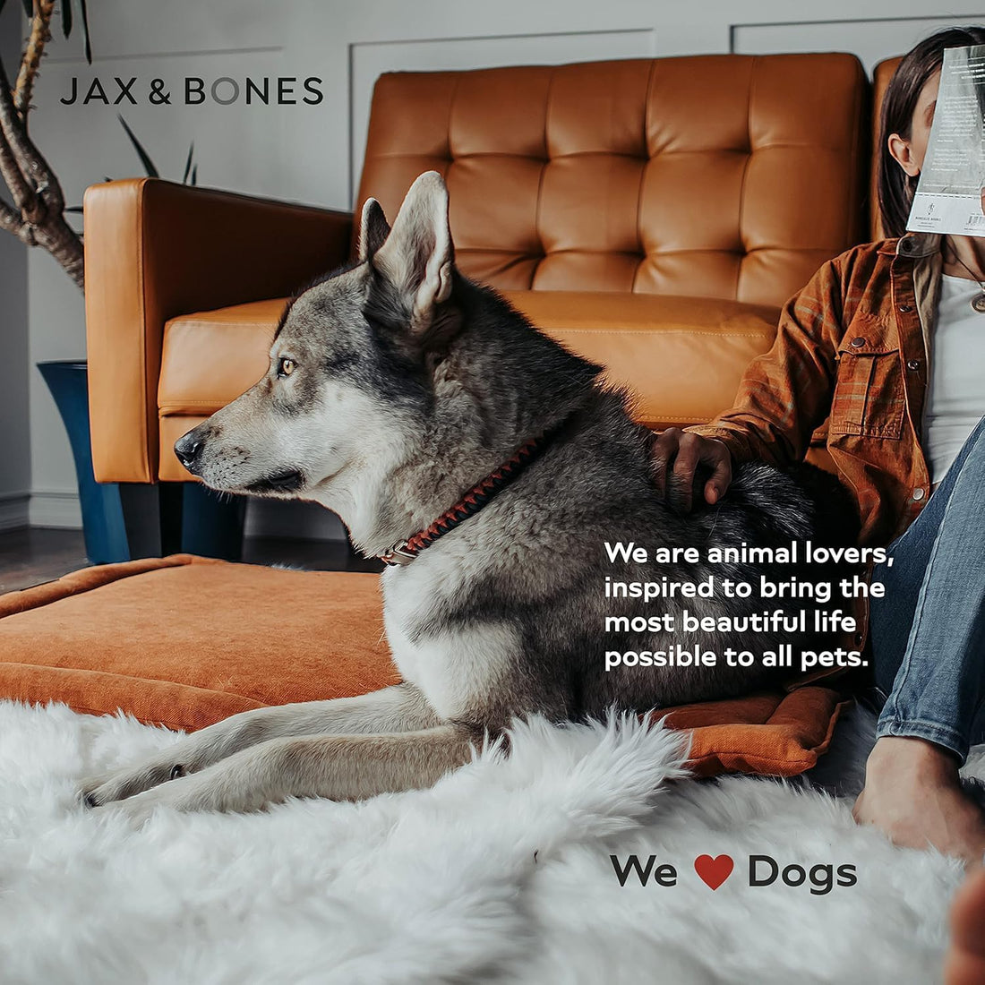 Jax & Bones Dog Crate Cover & Mat w/Bumper, Machine Washable