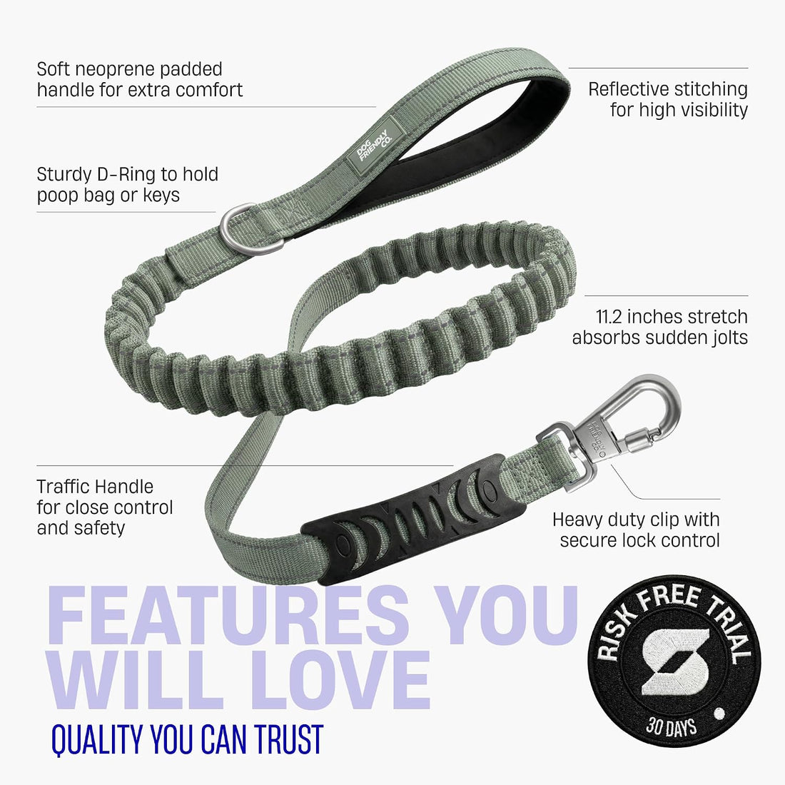 Dog Friendly Co. Bungee Dog Leash